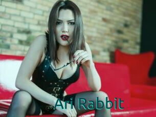 Ari_Rabbit
