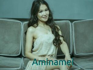 Aminamei