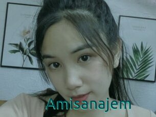 Amisanajem