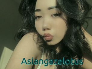 Asiangazelotus