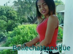 Bellechattepoilue