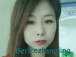 Bericezhangjing