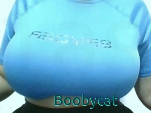 Boobycat