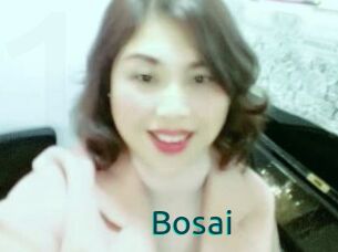 Bosai
