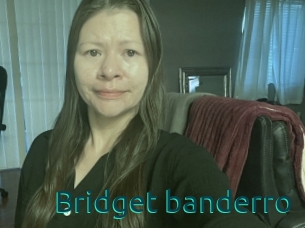 Bridget_banderro
