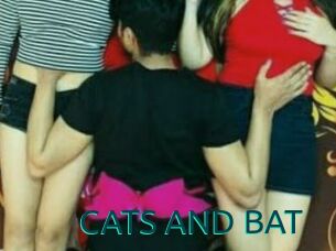 CATS_AND_BAT
