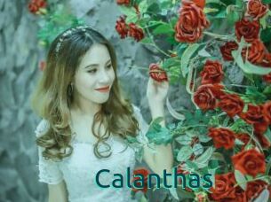 Calanthas