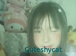 Cuteshycat