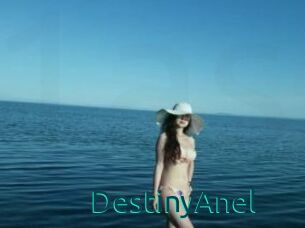 DestinyAnel