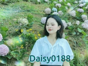 Daisy0188