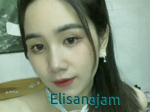 Elisanajam