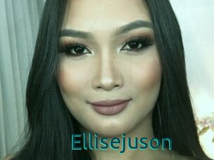 Ellisejuson
