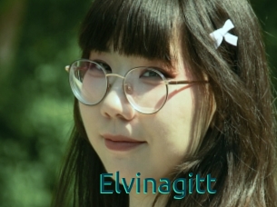 Elvinagitt