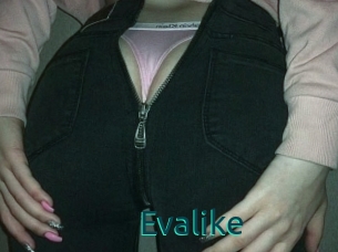 Evalike