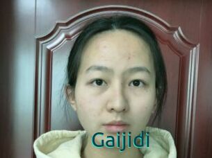 Gaijidi
