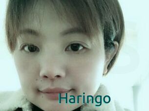 Haringo