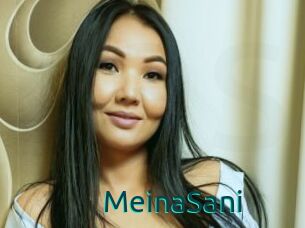 MeinaSani