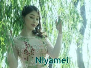 Niyamei