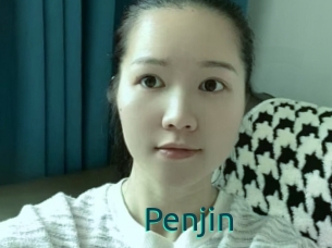 Penjin