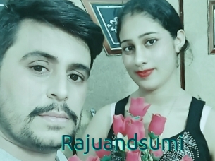 Rajuandsumi