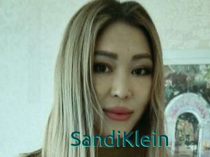 SandiKlein