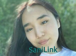 SaniLink