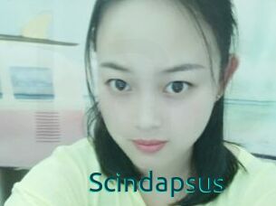 Scindapsus