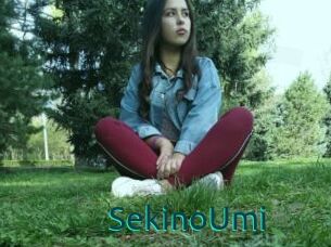 SekinoUmi