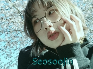 Seosoojin