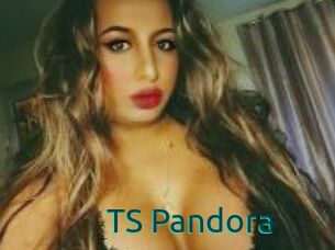 TS_Pandora