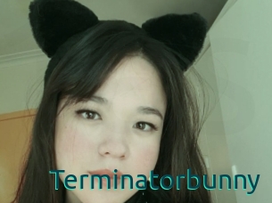 Terminatorbunny