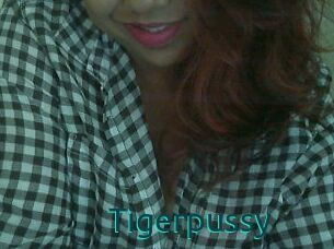 Tigerpussy