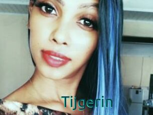 Tijgerin