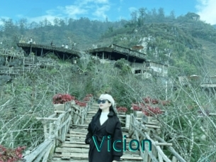 Vicion