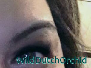 WildDutchOrchid