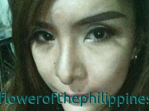 Wildflowerofthephilippines